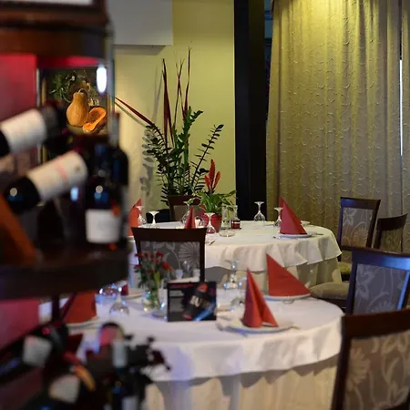 Pensionat Tara Belgrad